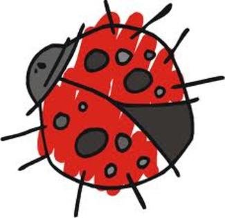 hvg - LadyBuG