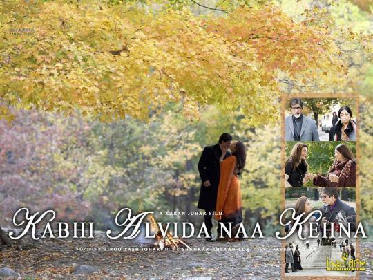 kabhi_alvida_naa_kehna_11 - Kabhi Alvida Naa Kehna