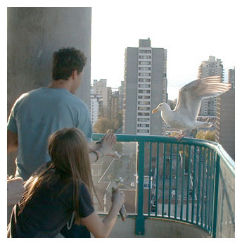 Avril-rare-pics-avril-lavigne-16579530-344-348