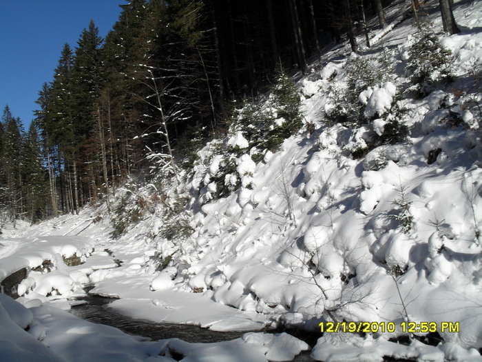 SDC12518 - iarna 2011