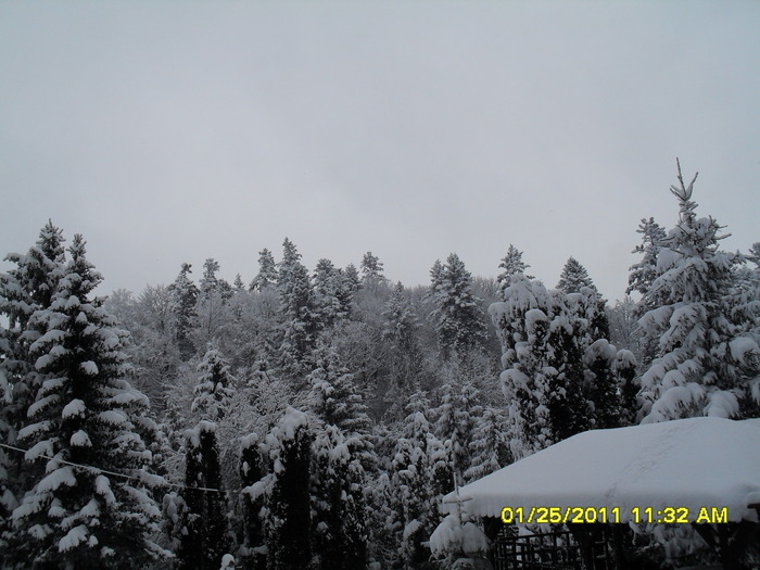 SDC12599 - iarna 2011