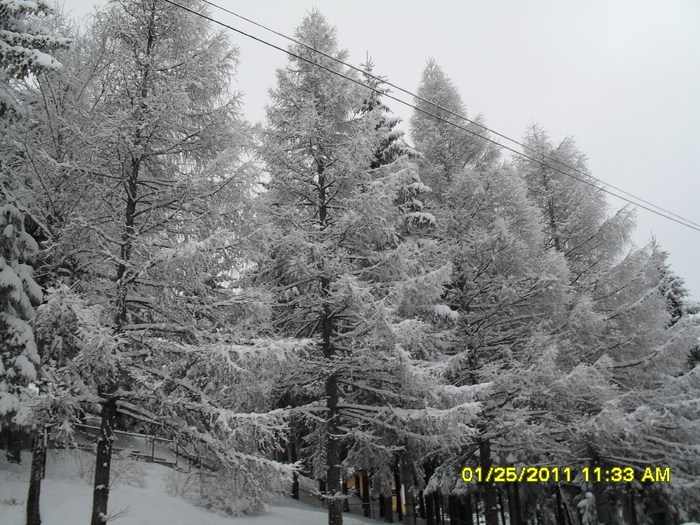 SDC12606 - iarna 2011