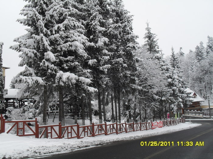 SDC12607 - iarna 2011