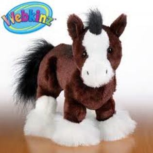 imagesCAYS8L2Q - Animalute Webkinz