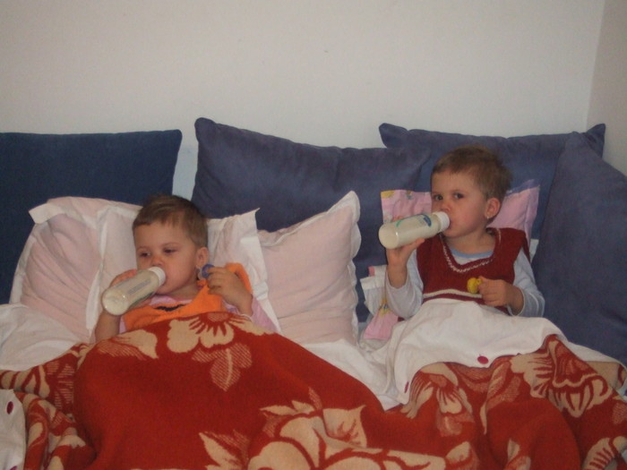 DSCF3388 - Ianuarie 2011