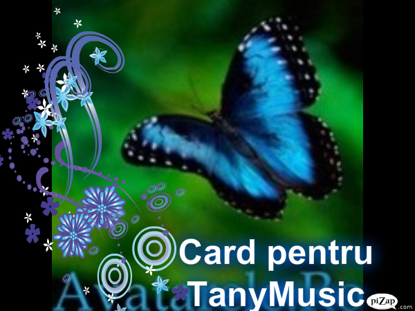 pizap.com12962323688281