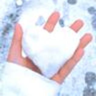 ppppppppppppppppppppppppppoooooooooooooo