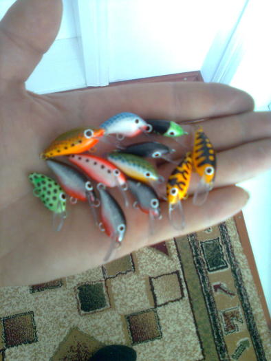 pt clean; sper sa-i placa
