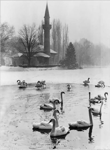 06_Parcul Carol_ Mocheia si lacul - 5-VECHIUL BUCURESTI 1871