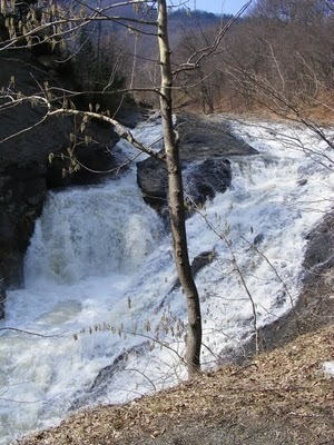 cascada-putnei