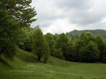 cheile-tisitei-vrancea-8