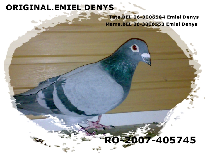 28122010414 - pedigree emieldenys_2