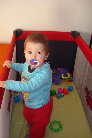 O SA MA FACI VEDETA!!