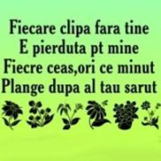 QIBOWARUZTJQYTJRZFV