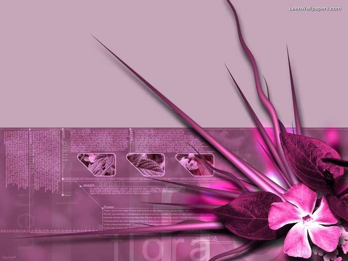 Pink3D - Pink Wallpapers