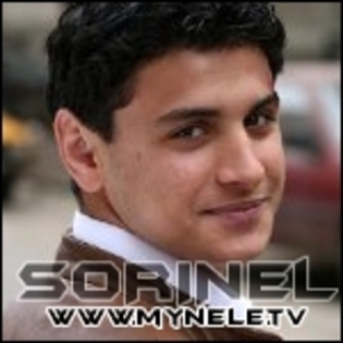 AvatarCopilu de Aur13 - diverse