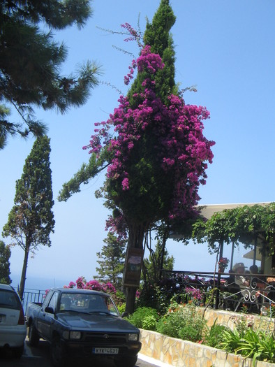 IMG_2034 - Corfu 2009