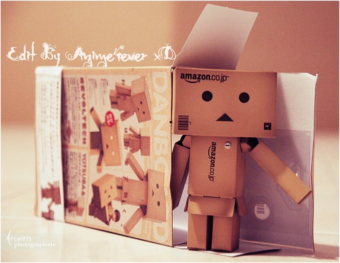 welcome_home__danbo_by_arcoirisphoto-d3838q4