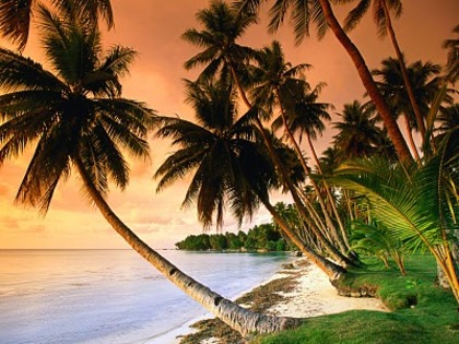 Blue Lagoon Resort Beach, Micronesia - Peisaje de la mare