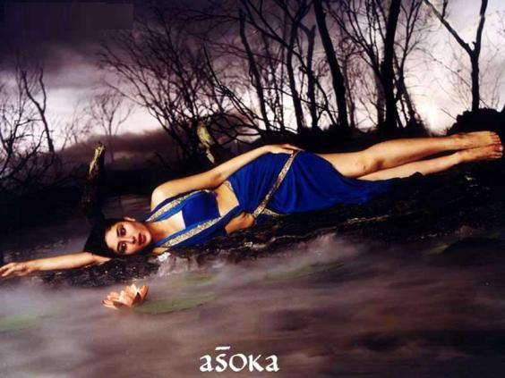 asoka-wallpaper4 - Asoka