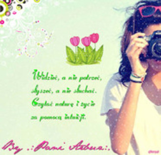 29471846_PULZXHKIA - WooW