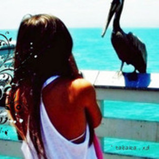 29471979_JOODELROX - WooW