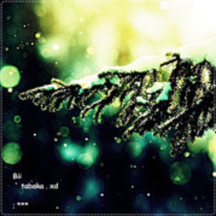 29472017_SUMVQZCWK - WooW