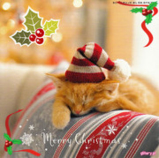 29472067_OEFGQYGGB - WooW