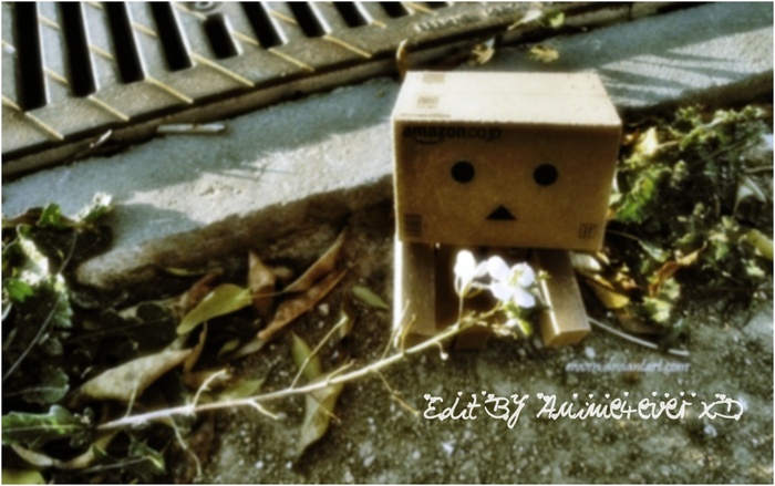 dando__flower_by_eivven-d33kwp8 - xx Danbo Robo Box sau Cutiutaaa xx