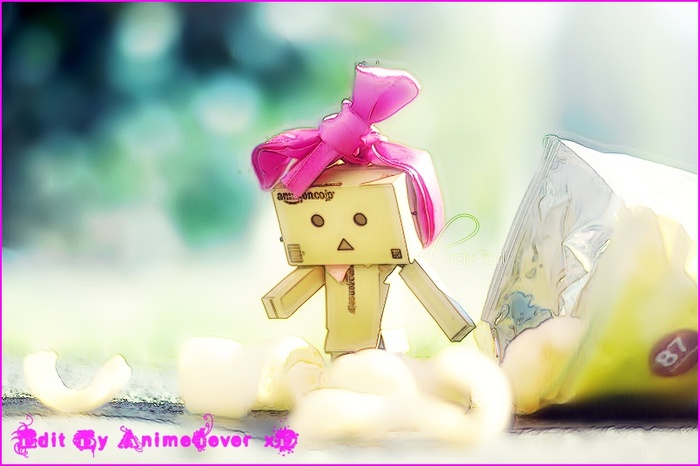 e7593705f3d6cd50a9b48d0656566acc-d32qkiu - xx Danbo Robo Box sau Cutiutaaa xx