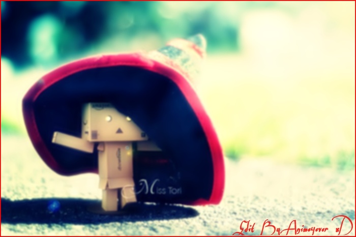 fe379caf1a7b8931c53c93601a85ddf0-d30zxk0 - xx Danbo Robo Box sau Cutiutaaa xx