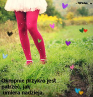 29457834_CPHIGXQBU - WooW 1
