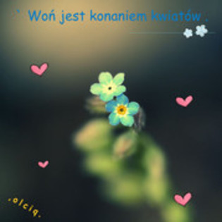 29458019_HJKJUOOYL - WooW 1