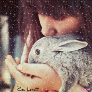29464180_EQMWRBOUB - WooW 1