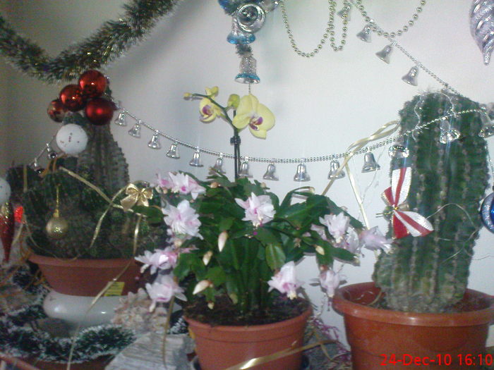 DSC07597
