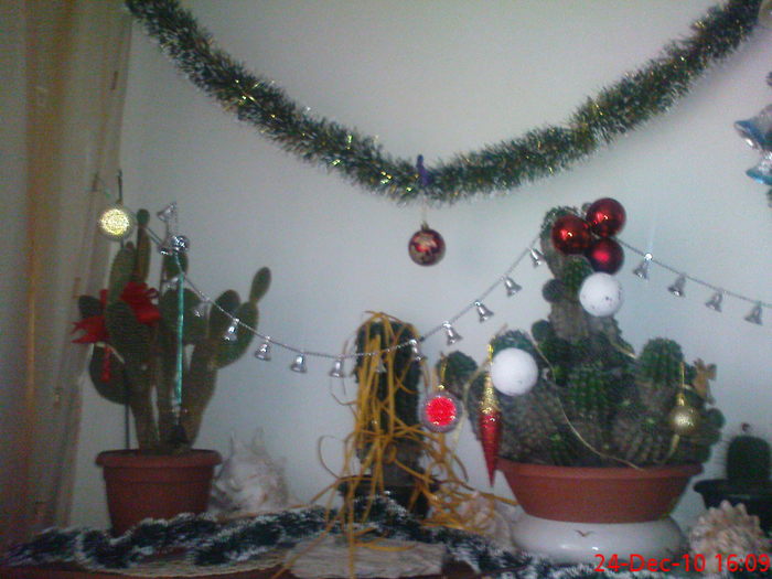 DSC07595