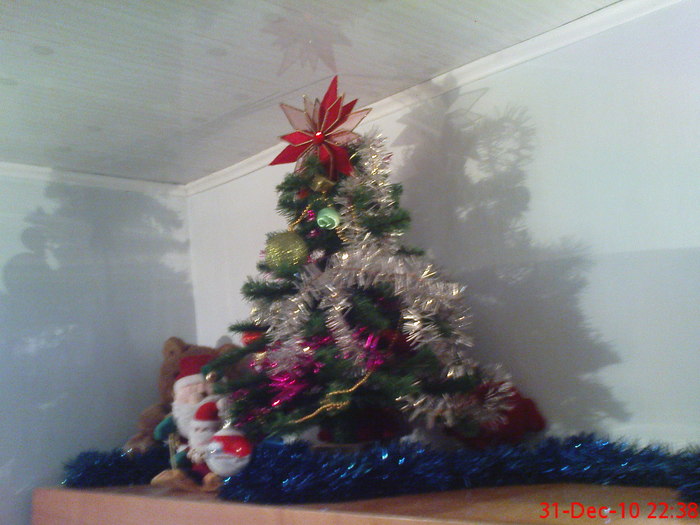 DSC07741