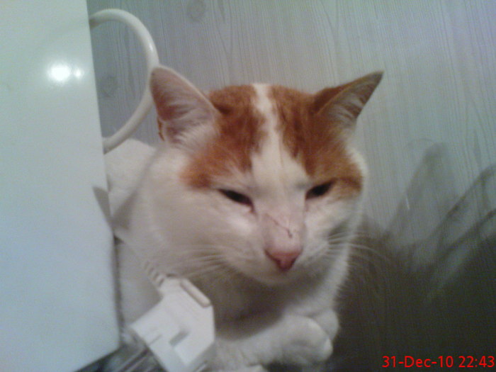 DSC07756