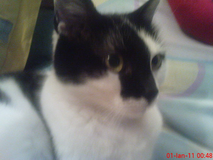 DSC07770