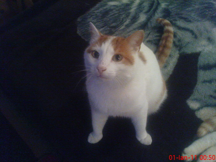DSC07777