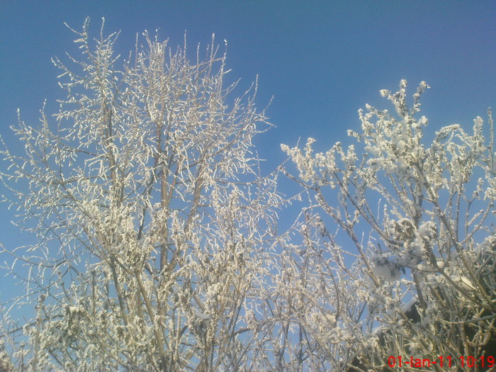 DSC07800
