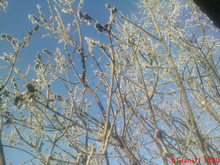 DSC07801