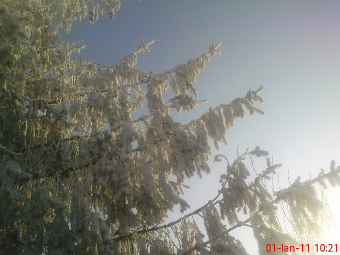 DSC07805