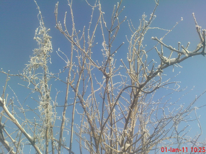 DSC07813