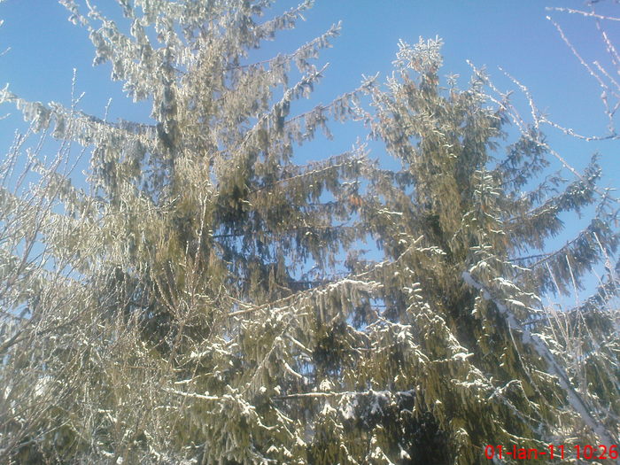 DSC07816