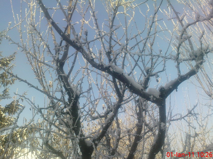 DSC07817