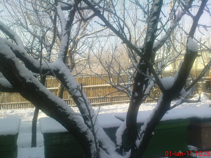 DSC07818