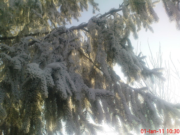DSC07828