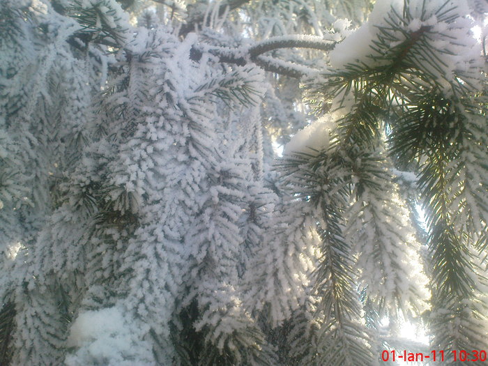 DSC07830