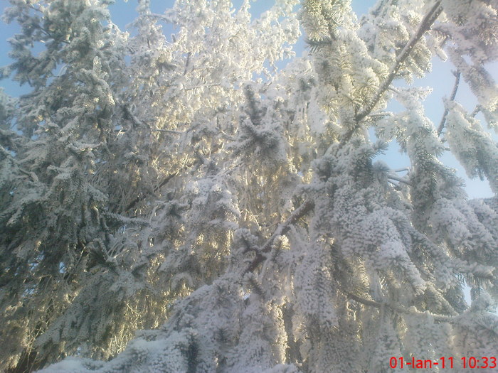 DSC07840
